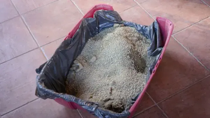 bandeja de arena de gato sucia