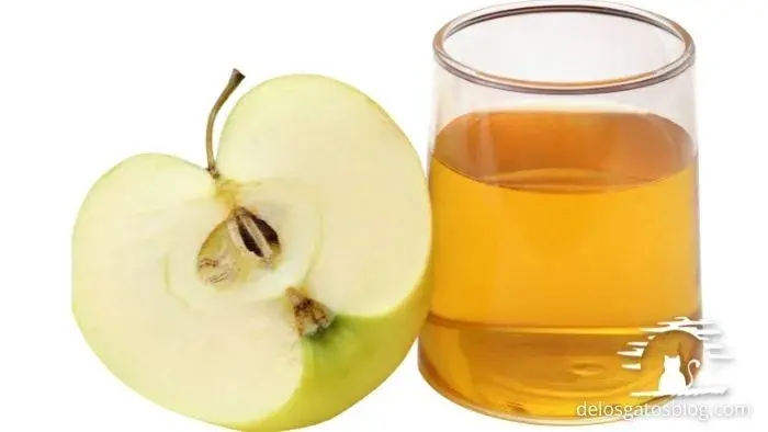 paso uno_ aplicar vinagre de sidra de manzana